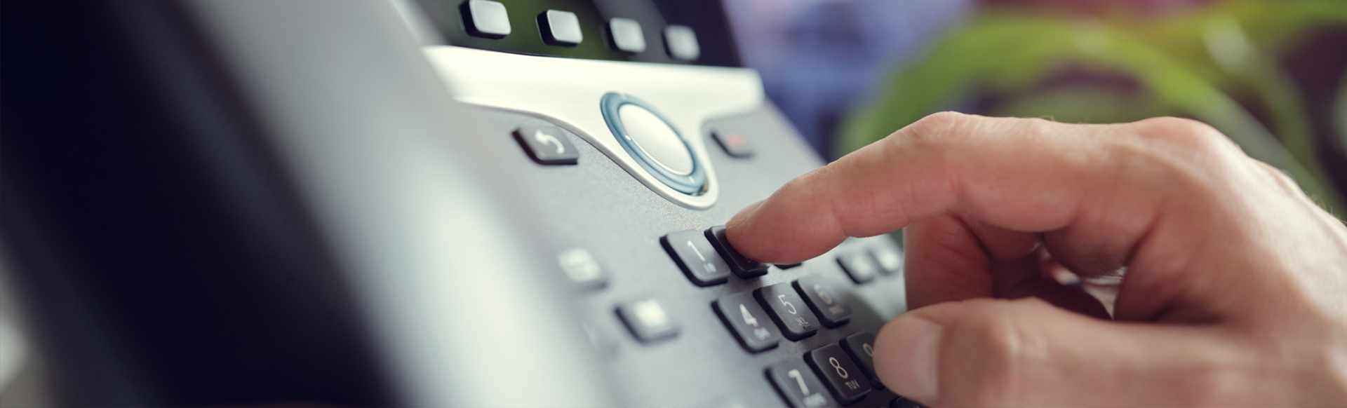 serereklam-ar-ge-merkezi-noodle